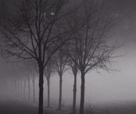 Dark Fall Night