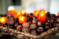 Fairy lights with dried blossoms