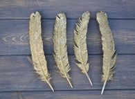 Gold glittered feathers