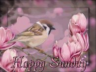 Happy Sunday