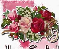 Happy Sunday