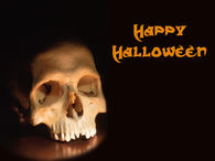 Happy Halloween