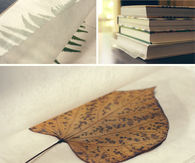 Pressed Leaves