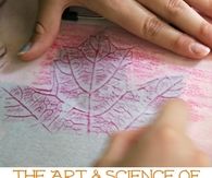 Leaf rubbings