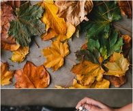 DIY Leaf Garland