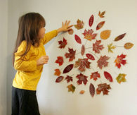 Fall leaf mandala