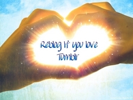 reblog if you love tumblr