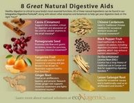 8 Natural Digestive Aids