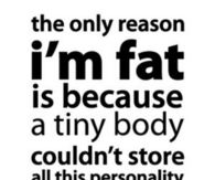 the Only Reason Im Fat