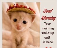 Good Morning