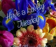 Have a lovely Tuesday