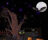 Halloween Night