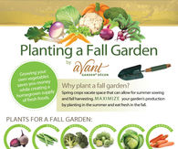 Planting a fall garden