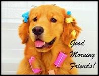 Good Morning Friends