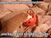 Lame Neighbors