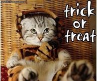 Trick or Treat
