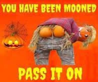 You have been mooned