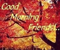 Good Morning Friends