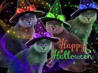 Happy Halloween