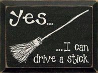 Yes I can drive a stick