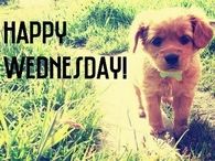 Happy Wednesday