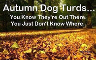Autumn Dog Turds