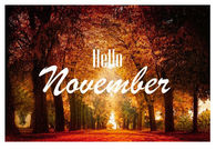 Hello November