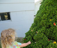 Kids flower tree decorating