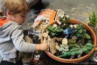 Small world plant play