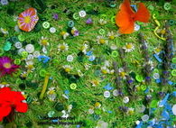 Glass and flower sensory bin