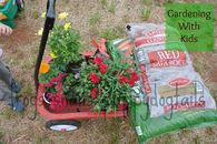 Planting Flowers with Kids