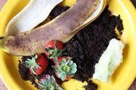 DIY Compost Bin