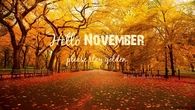 Hello November