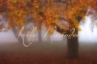 Hello November