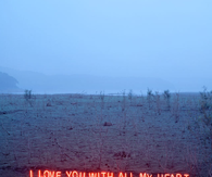I love you with all my heart