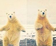 Friday Tomorrow