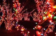 Festive Christmas Lights