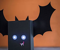 Box Bat