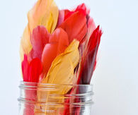 Turkey gratitude jar