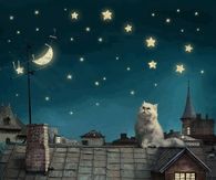 So many stars