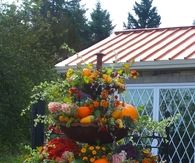 Autumn Birdbath