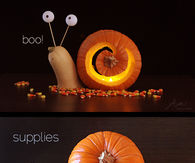 DIY Snail Jack O Lantern