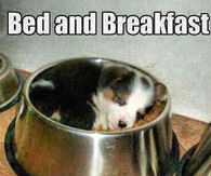 Bed and Breakfast