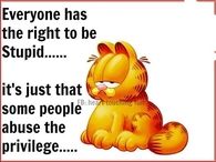 Everyone has the right to be stupid