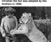 Beautiful Story