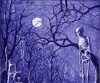 The silent groves