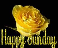 Happy Sunday