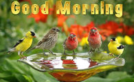 Good Morning