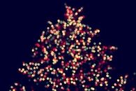 Blurred christmas tree lights