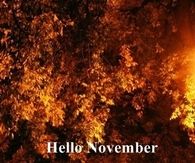 Hello November